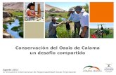 "Conservación del Oasis de Calama, un desafío compartido"