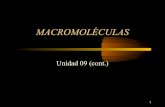 2q 09 quimica organica(macromoleculas)