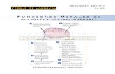 Funciones Vitales I: Hormonas y Control Hormonal (BC11 - PDV 2013)
