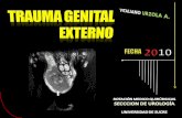 Trauma genital externo