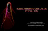 Indicadores Sociales En Salud (Principales)