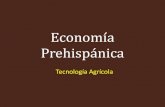 Economía prehispánica