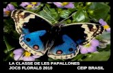 Jocs florals papallones p3 b
