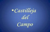 Castilleja Del Campo