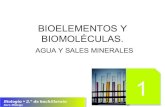 Unidad 1. Bioelementos y Biomoléculas. Agua y sales minerales
