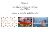 Tema 1  La organizacion de la materia. Agua y sales minerales.