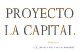 Proyecto La Capital