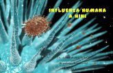 Ah1n1. presentacion sobre el virus AH1N1