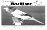 06. el canario roller