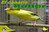 19. el canario roller