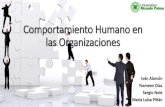 Comportamiento Humano en las Organizaciones