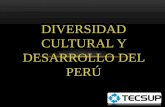 Diversidad cultural y desarrollo del perú (1)