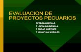 Evaluacion de proyectos pecuarios (edgar, pedro y jonathan)