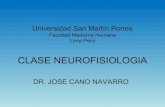 Clase  Neurofisiologia