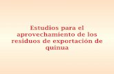 Expositora Lozano P. Maribel estudios para el aprovechamiento de los residuos de exportación de quinua-Taller VCy-T-Oruro