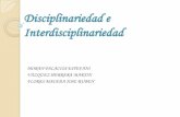 Disciplinariedad e interdisciplinariedad fani-joseruben-martin