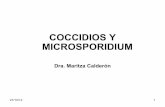 coccideos y microsporidium