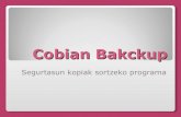 Cobian Bakckup