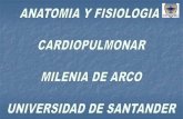 Anatomia y Fisiologia Cardiopulmonar
