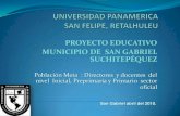 Proyecto educartivo san gabriel 2010