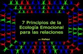 Refleja. 7 Principios De La EcologíA Emocional Para Las Relaciones.
