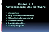 Mantenimiento del software unidad # 9