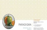 Paradigma (Definicion, tipos y ejemplos)