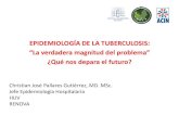Presentación Dr. Christian Pallares Epidemiologia TBC
