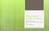 Difusión Movimiento Waynakay Chile