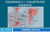 Esofago 2 + esofagitis cáustica