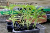 Planter gener