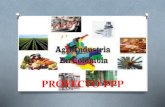 proyecto  productivo agroindustria