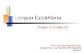 Lengua castellana, origen y evolución