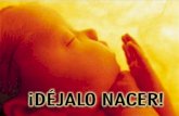 Aborto diapositivas-110526081555-phpapp02