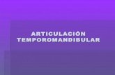 Histología de la Articulación Temporomandibular