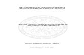 Analisi juridico de la certeza legal contratos electronicos tesis