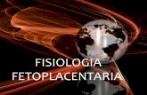 Fisiologia fetoplacentaria