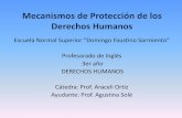 Mecanismos de protección de los derechos humanos