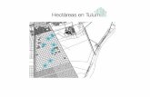 Tulum-Lotes en venta  region 15