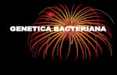 1 genetica bacteriana