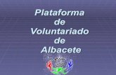 Encuentro Toledo_Plataforma Voluntariado Albacete