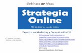 Presentación strategia online20141