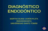 13. nueva version diagnosticos en endodoncia