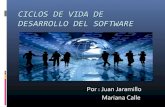 Ciclos de vida_del_software