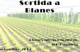Sortida a Blanes: agricultura i botànica