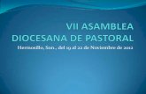 VII ASAMBLEA DIOCESANA DE PASTORAL
