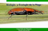 BiologíA EcologíA De Plaga R1