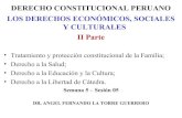 05   3 - clase 05 - dcp - derechos sociales, económicos y culturales ii (1)
