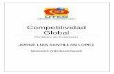 Trabajo final de competitividad global