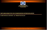 Clase 19 Y 20 Metabolismo Nitrogenado ProteíNas